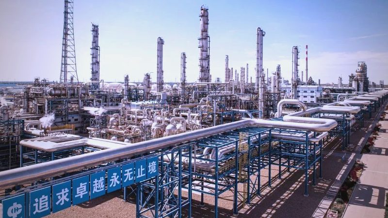 表面活性剂十二烷基苯磺酸钠：揭秘其价格背后的因素**